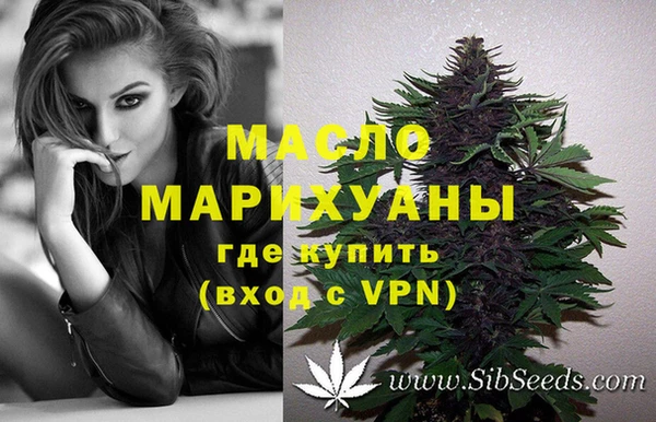 мет Протвино