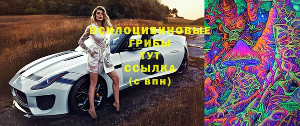 мдпв Пролетарск