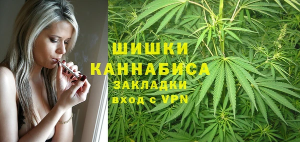 мдпв Пролетарск