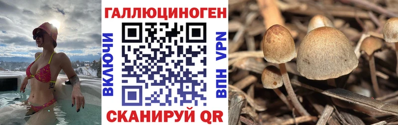 где можно купить   Новая Усмань  Галлюциногенные грибы прущие грибы 